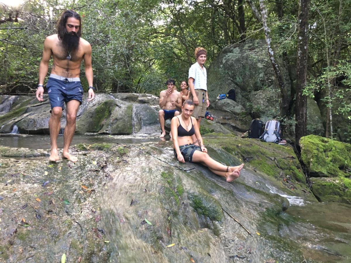 Tree House Hostel סיגירייה מראה חיצוני תמונה