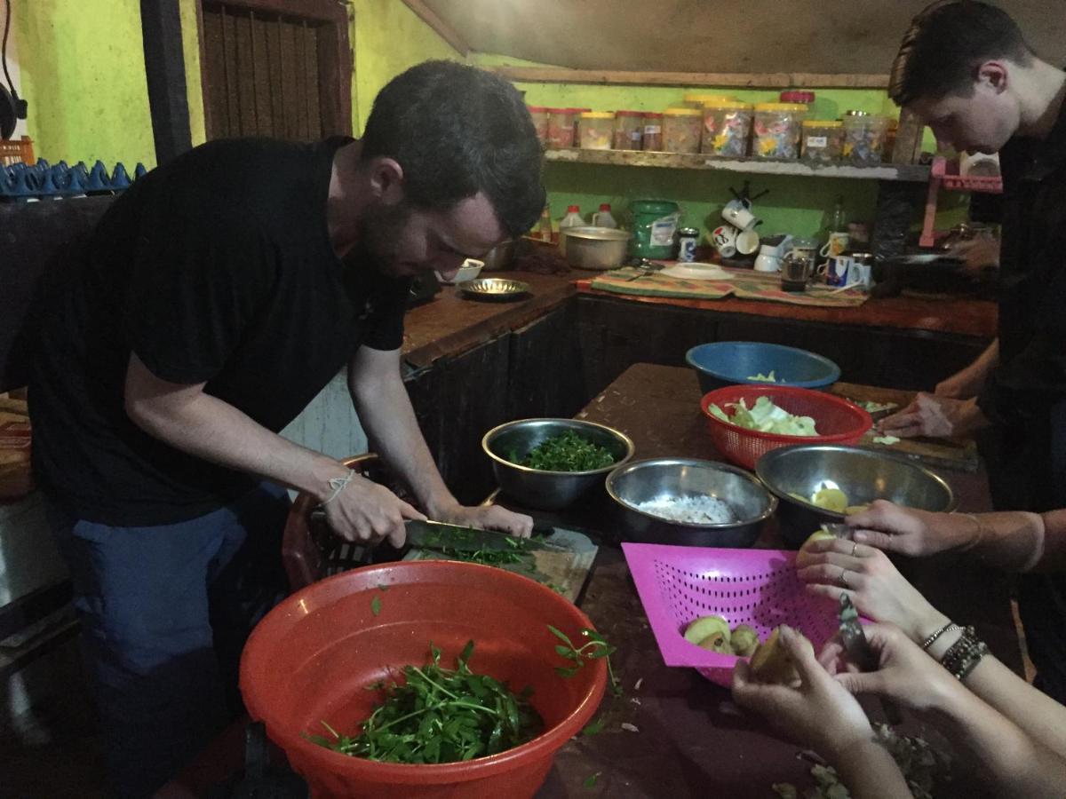 Tree House Hostel סיגירייה מראה חיצוני תמונה